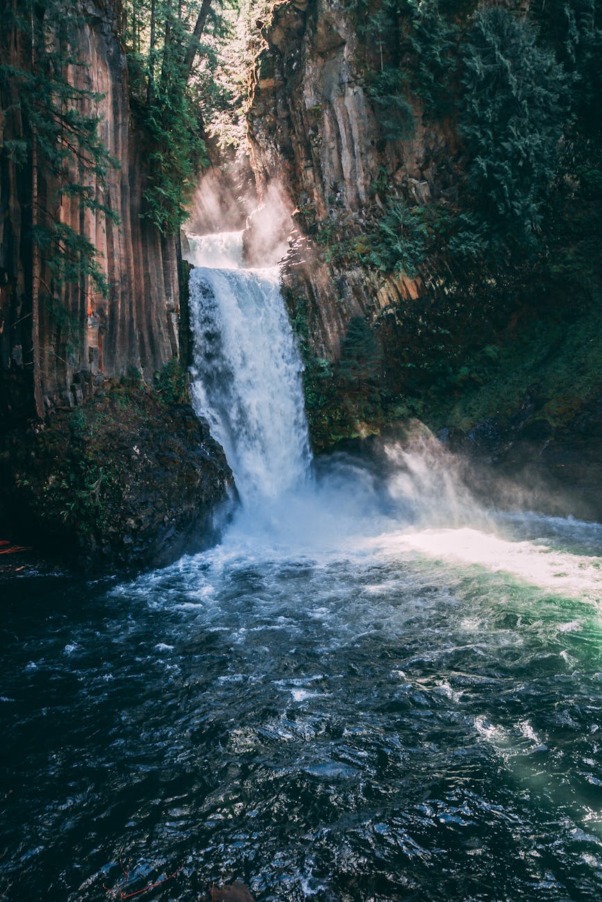 waterfalls surrounded with trees and grasses